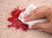 How to Clean Carpet Stains in 2026